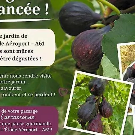 L'etoile Aeroport - A61